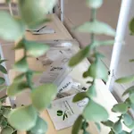 아파트 North Urban Escape Aviatiei